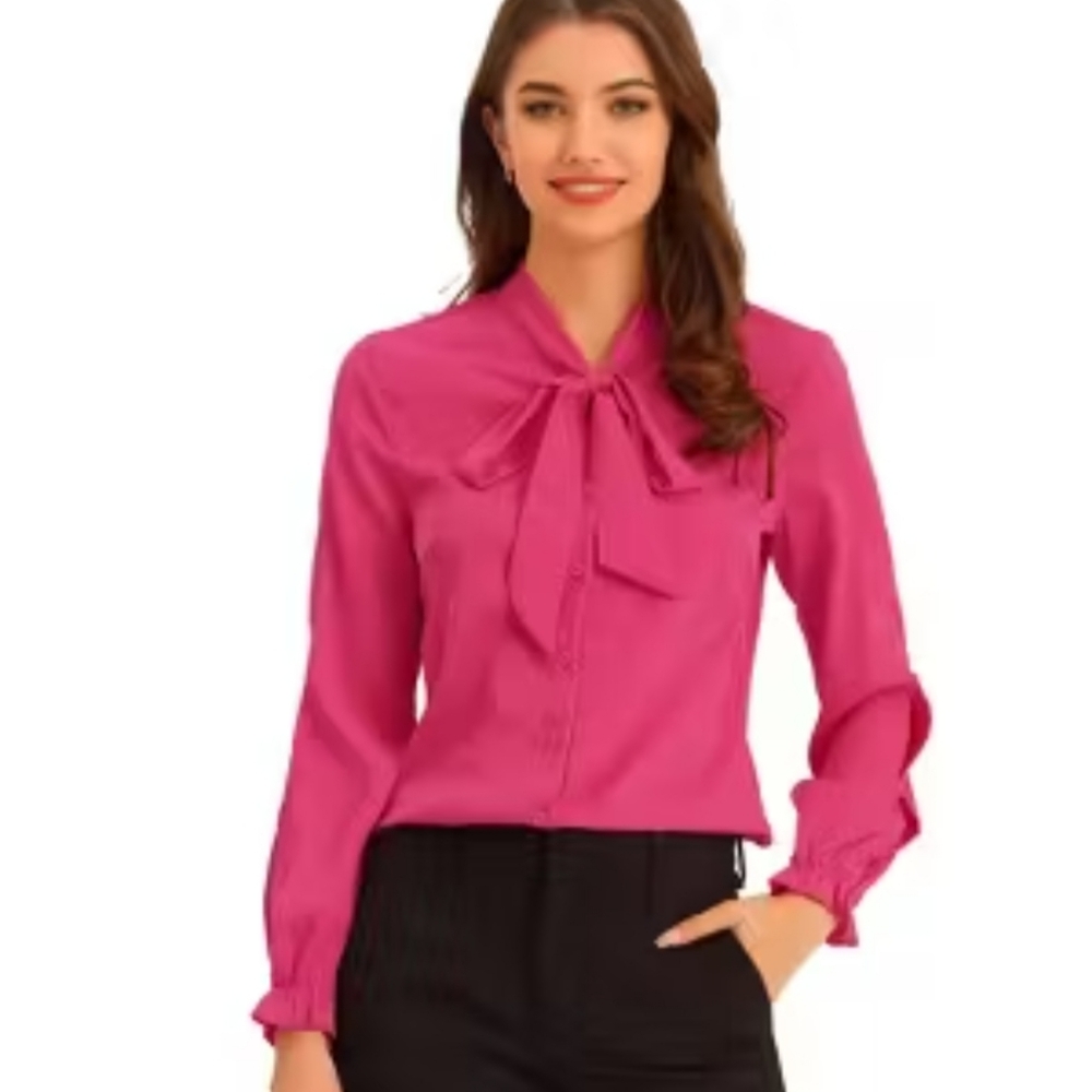 Ms. Bond pink chiffon button down blouse